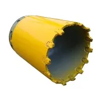 2025 10 Fabbrica leader di calzature per involucri in Cina